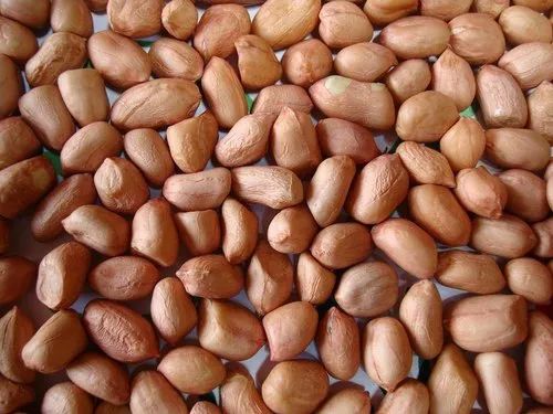 Brownish Natural Organic Groundnut Kernels, for Butter, Cooking Use, Making Oil, Packaging Type : Bag