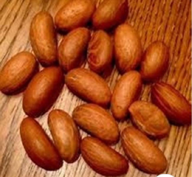 Bitter Kola Nuts