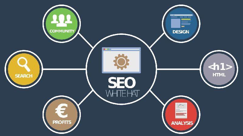 Complete SEO Solutions