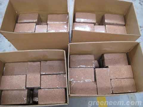 650gm CoCo Peat