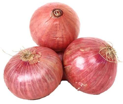 Fresh Pink Onion