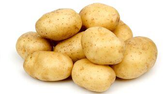 Potato, Color :  Light Yellow