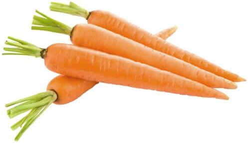 Organic Fresh Carrot, Style : Frozen