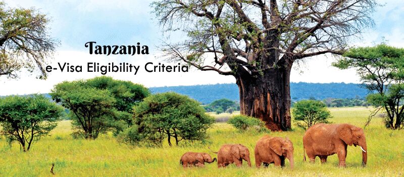Apply For Tanzania Visa Online