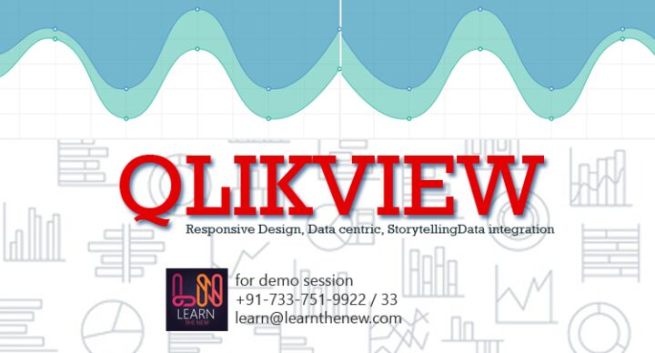 QlikView Online Training Services