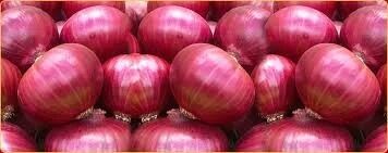 Red Onion, Onion Size Available : Medium