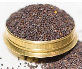 mustard seeds