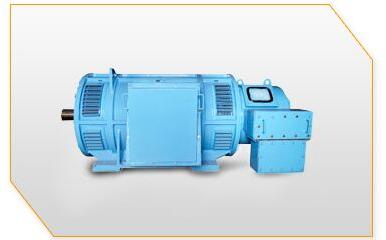 Rerolling Mill Duty Motor