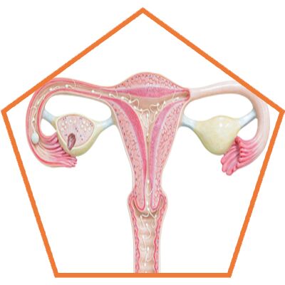 Ovarian Cysts Treatment