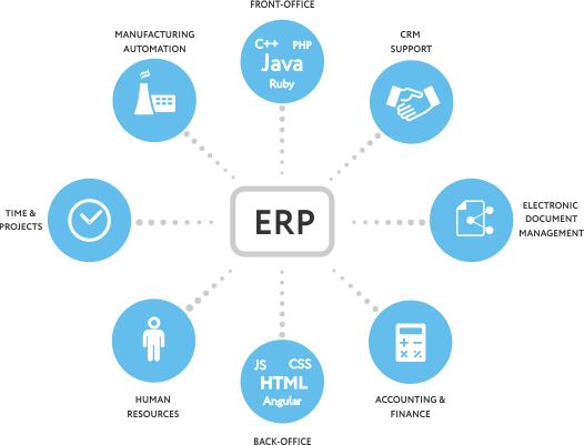 ERP Software Development Services