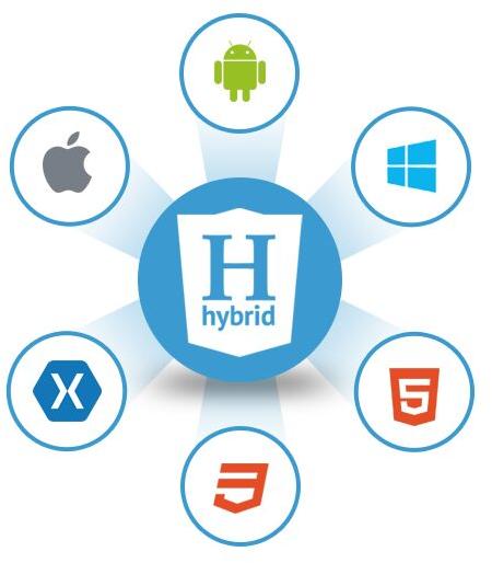 Hybrid Application Development Services