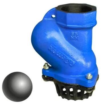 CI Ball Type Foot Valve, Color : Blue