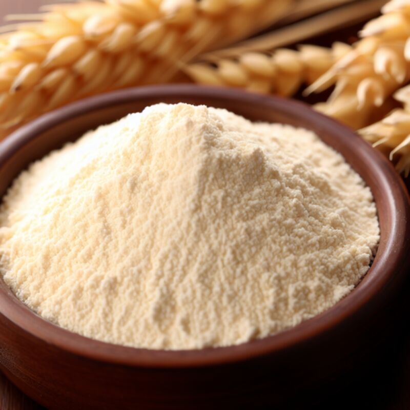 Wheat Concentrate Protein