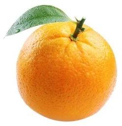 Organic Fresh Orange, for Jam, Juice, Snack, Packaging Type : Plastic Bag