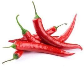 Fresh Red Chilli