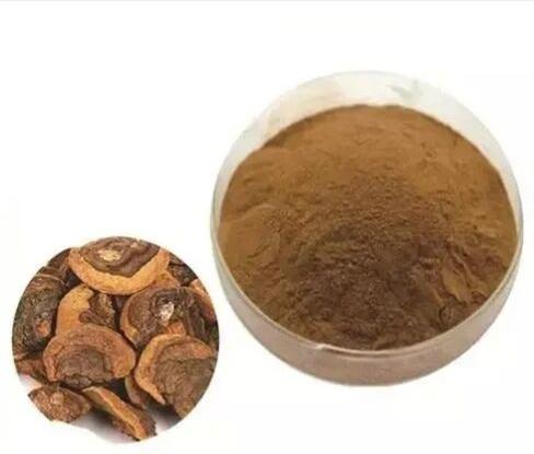 Artichoke Extract Powder, Packaging Type : Drum