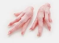 Frozen Chicken Paws