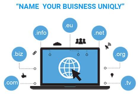 Domain Name Registration Services