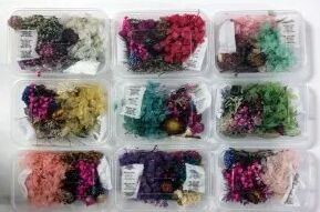 Random colours crafteria Dried Flowers, for resin art