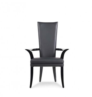 ADAM WITH ARM DINING CHAIR