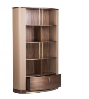 GIOTTO DESIGNER BOOKSHELF, Color : Champagne, Walnut