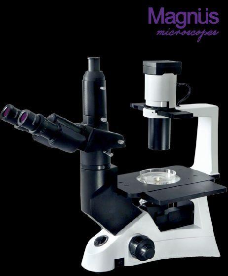 Magnus Inverted Microscope