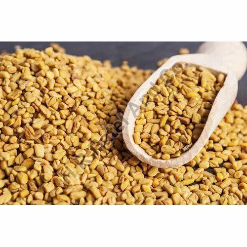 Raw Natural Yellow Fenugreek Seeds, for Spices, Certification : FSSAI Certified