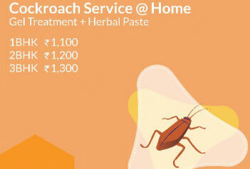 Cockroach Control Service