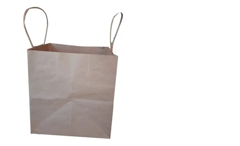 Loop Handle Paper Bag