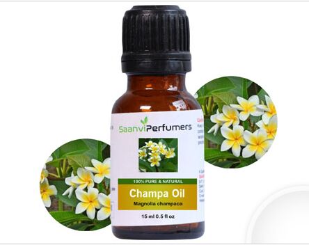 Champa Essential Oil, Packaging Size : 15ml, 50ml, 100ml, 300ml, 500ml 1000ml