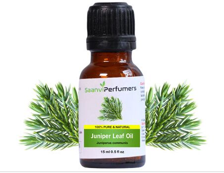 Juniper Leaf Oil, Packaging Size : 15ml, 50ml, 100ml, 300ml, 500ml 1000ml