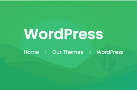 Wordpress website development service