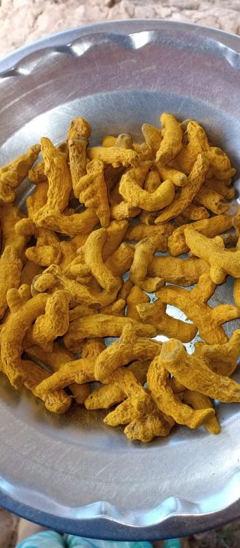 Common Polished Raw turmeric, for Cosmetics, Food Medicine, Spices, Cooking