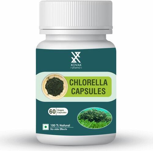 Xovak Pharma Ayurvedic Chlorella Capsule, Packaging Type : Bottle