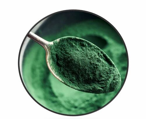 Green Spirulina Powder, for Pharma Food, Packaging Type : Plastic Bags