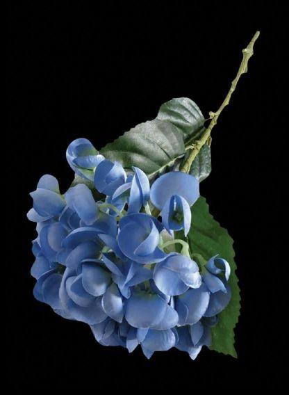 Angie Homes Natural BIEI BLUE ARTIFICIAL FLOWER, for Decoration, Gifting, Medicine, Style : Fresh