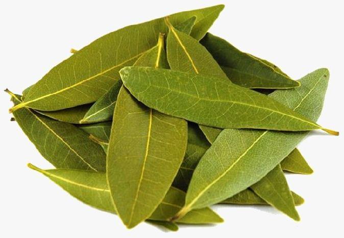 Bay Leaf, for Cooking, Spices, Food Medicine, Cosmetics, Packaging Type : Paper Box