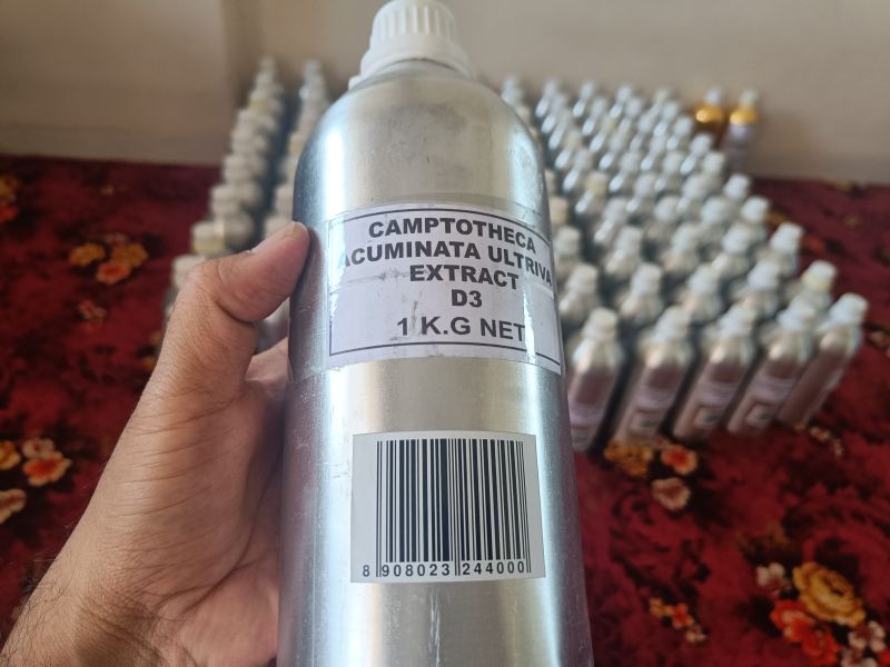 Camptotheca Acuminata Ultriva Extract D3, For Cancer Medicine, Packaging Type : 1000 Ml Aluminium Bottles