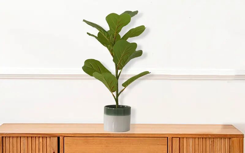 Artificial Fiddle Leaves Plant with Ceramic Pot