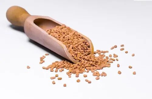 Brown Organic Fenugreek Seed, for Food, Packaging Size : 25 50 kg
