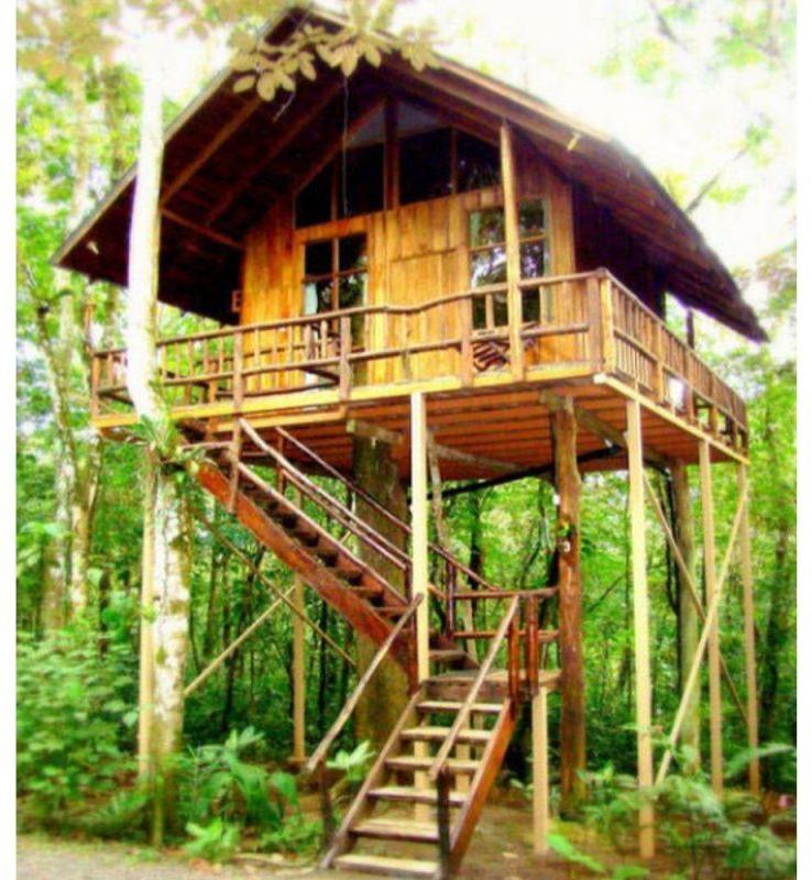 Modular Bamboo Tree House, Size : Customised