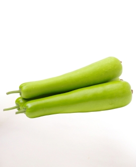 Fresh Bottle Gourd, Shelf Life : 10 Days