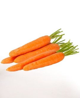 Fresh Carrot, Packaging Type : Gunny Bag