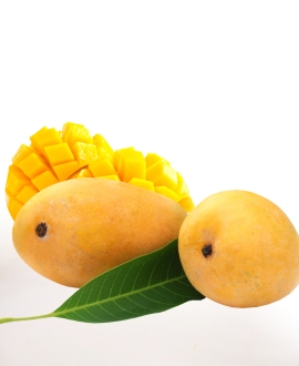 Organic fresh mango, Shelf Life : 10 Days