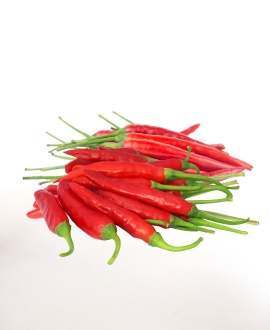Fresh Red Chilli, for Cooking, Shelf Life : 15 Days