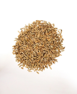 Rye Seeds