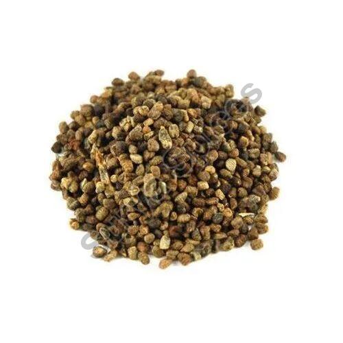 Joint Cardamom Seed