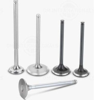 Tata STD Engine Valve Set