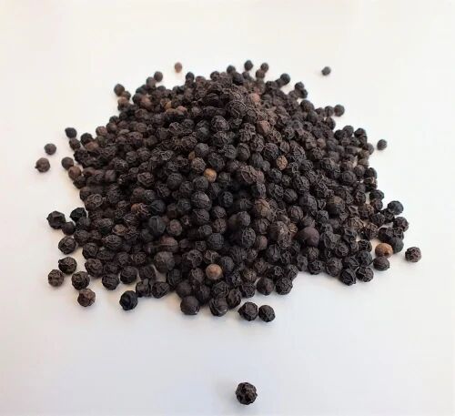Organic Black Pepper Seeds, Packaging Type : Plastic Packet