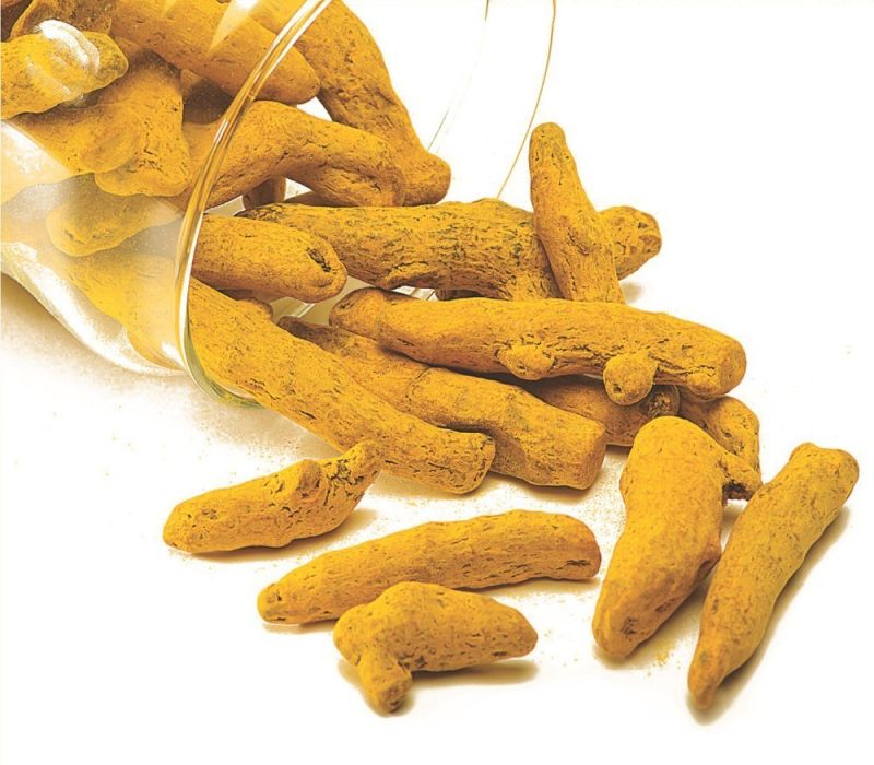 Yellow Turmeric Finger, For Spices, Shelf Life : 6 Month